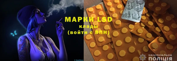 ПСИЛОЦИБИНОВЫЕ ГРИБЫ Новозыбков