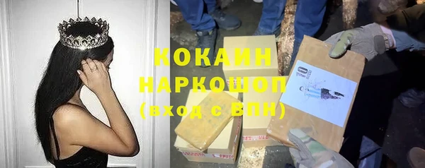 ПСИЛОЦИБИНОВЫЕ ГРИБЫ Новозыбков