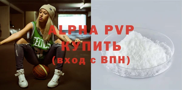 ПСИЛОЦИБИНОВЫЕ ГРИБЫ Новозыбков