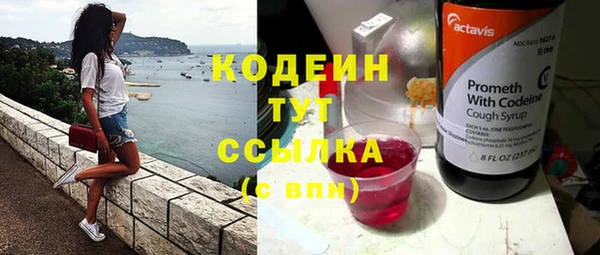 ПСИЛОЦИБИНОВЫЕ ГРИБЫ Новозыбков
