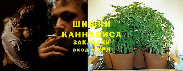 спайс Новодвинск