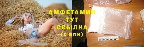 ПСИЛОЦИБИНОВЫЕ ГРИБЫ Новозыбков