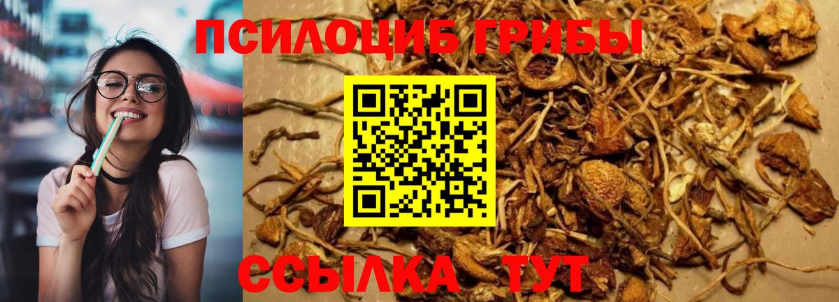 Псилоцибиновые грибы мухоморы  Вход с VPN  Псилоцибиновые грибы Psilocybe  Санкт-Петербург 