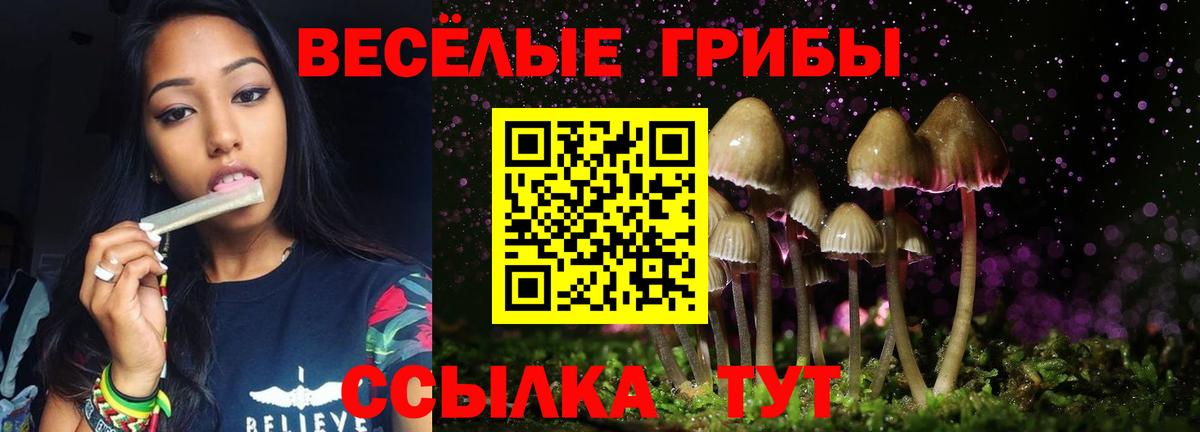 Галлюциногенные грибы MAGIC MUSHROOMS  как найти закладки  Галлюциногенные грибы мицелий  Санкт-Петербург 