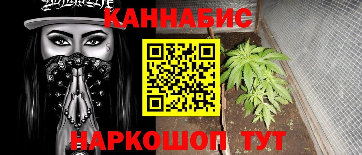 Шишки марихуана Ganja  МАРИХУАНА ГИДРОПОН  Марихуана Ganja  Вход с VPN  Санкт-Петербург 